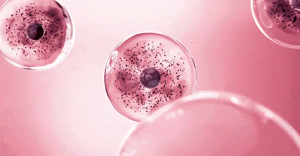 [생기결광/온열스팀팩] 비긴스 바이 정샘물 핑크 구아바 글루타치온 흔적 워시오프 팩 90g 상세페이지 14